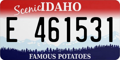 ID license plate E461531
