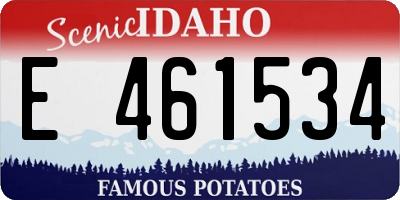 ID license plate E461534