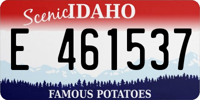 ID license plate E461537