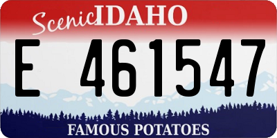 ID license plate E461547