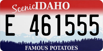 ID license plate E461555