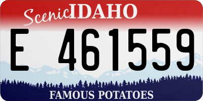 ID license plate E461559