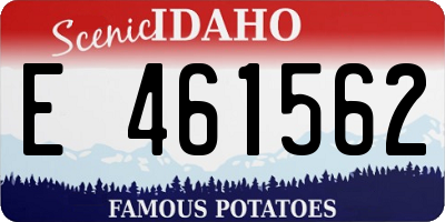 ID license plate E461562