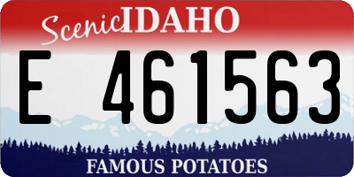ID license plate E461563