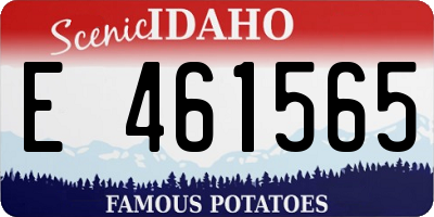 ID license plate E461565
