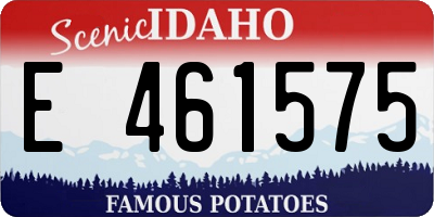 ID license plate E461575