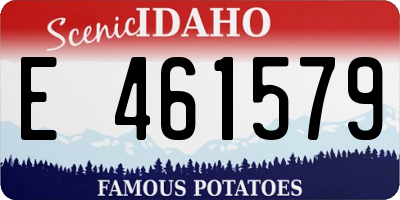 ID license plate E461579