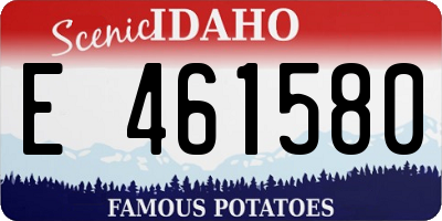 ID license plate E461580