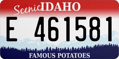 ID license plate E461581