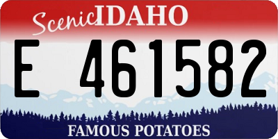 ID license plate E461582