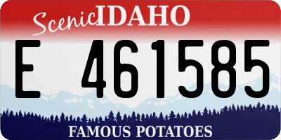 ID license plate E461585