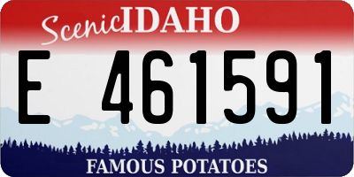 ID license plate E461591