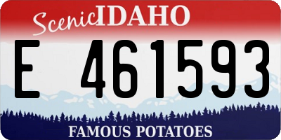 ID license plate E461593