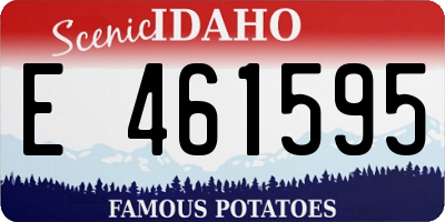 ID license plate E461595
