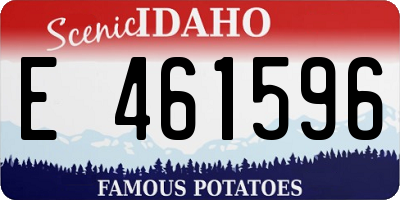 ID license plate E461596
