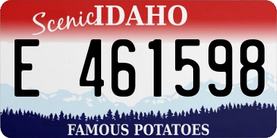 ID license plate E461598