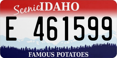 ID license plate E461599