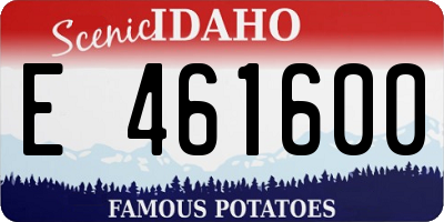 ID license plate E461600