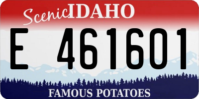 ID license plate E461601