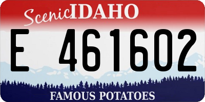 ID license plate E461602