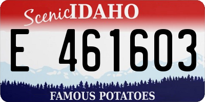 ID license plate E461603
