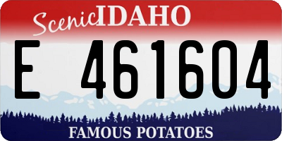 ID license plate E461604