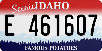 ID license plate E461607