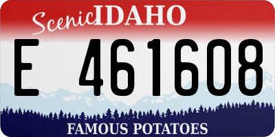 ID license plate E461608
