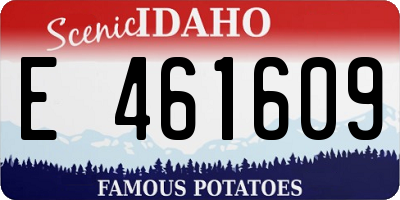 ID license plate E461609