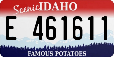 ID license plate E461611