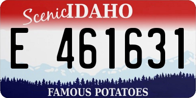 ID license plate E461631