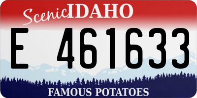 ID license plate E461633
