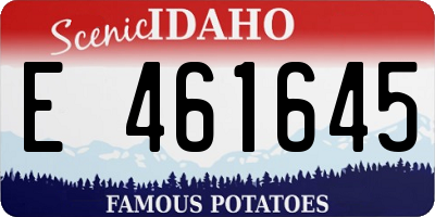 ID license plate E461645