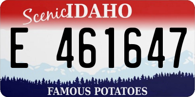 ID license plate E461647