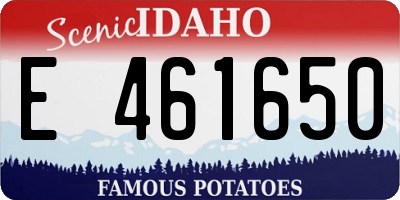 ID license plate E461650