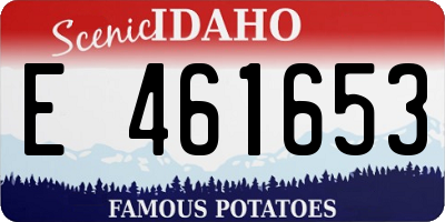 ID license plate E461653