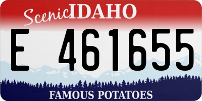 ID license plate E461655