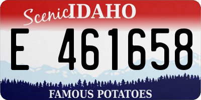 ID license plate E461658