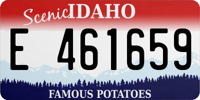 ID license plate E461659