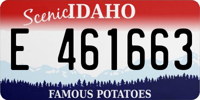 ID license plate E461663