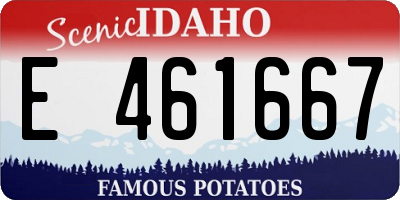 ID license plate E461667