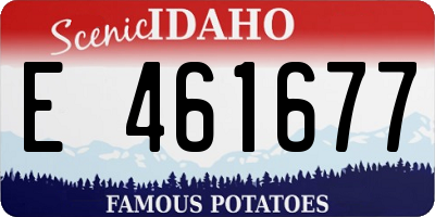 ID license plate E461677