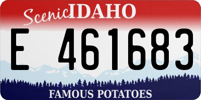 ID license plate E461683