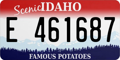ID license plate E461687