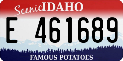 ID license plate E461689