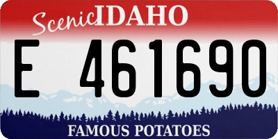 ID license plate E461690