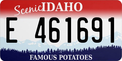 ID license plate E461691