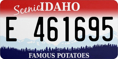 ID license plate E461695