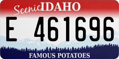 ID license plate E461696