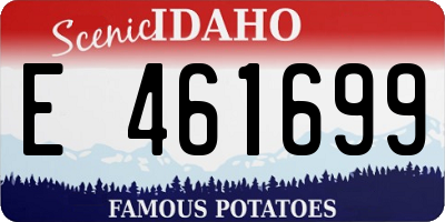 ID license plate E461699